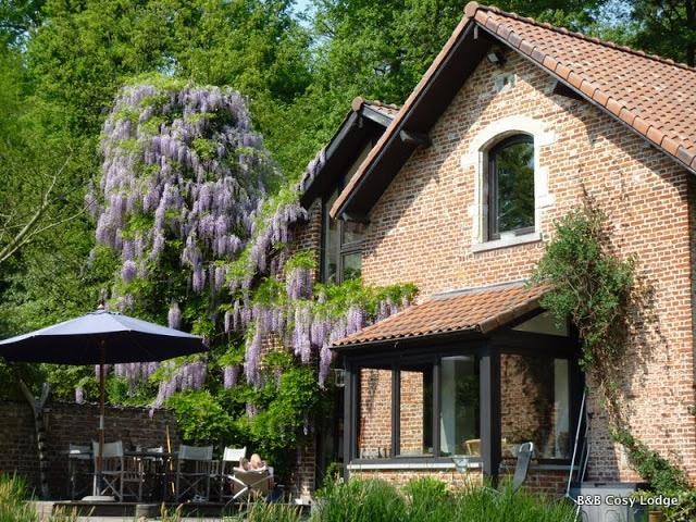 Cosy Lodge Dilbeek Eksteriør billede